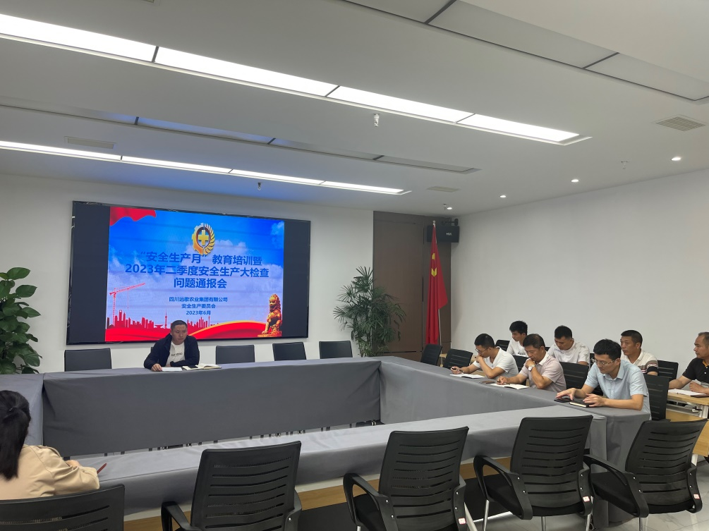开展2023年度“安全生产月”教育培训暨二季度安全质量检查问题通报会