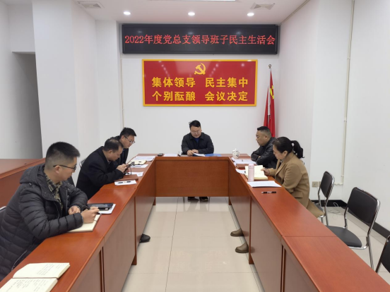 电子游戏app网站召开2022年度党总支领导班子民主生活会