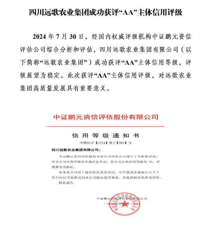 电子游戏app网站成功获评“AA”主体信用评级